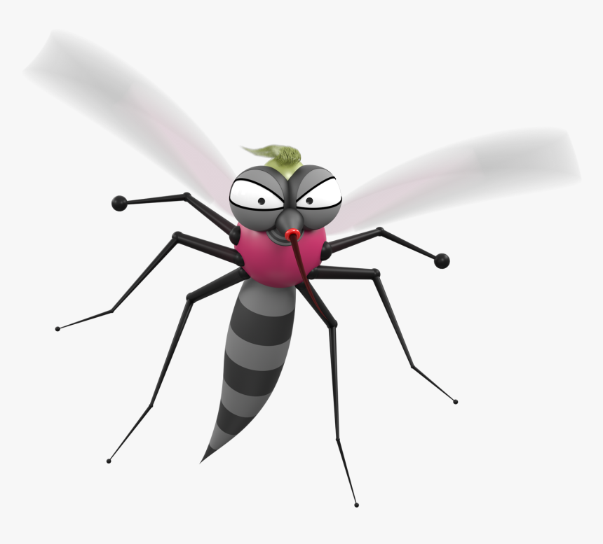 Ant, HD Png Download