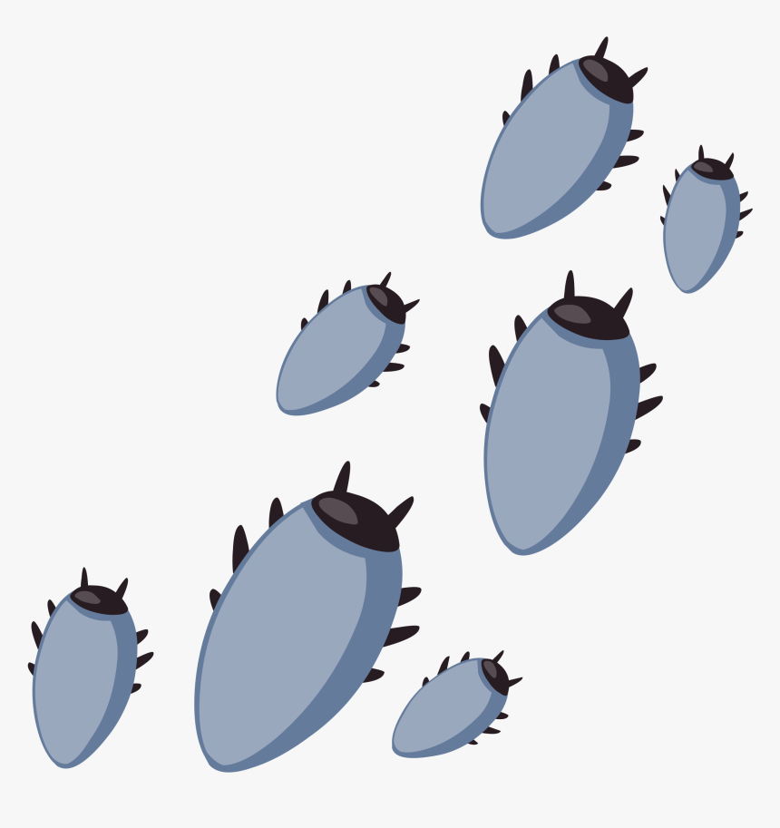 Ilmenskie Bugs 1 Clip Arts - Insect, HD Png Download