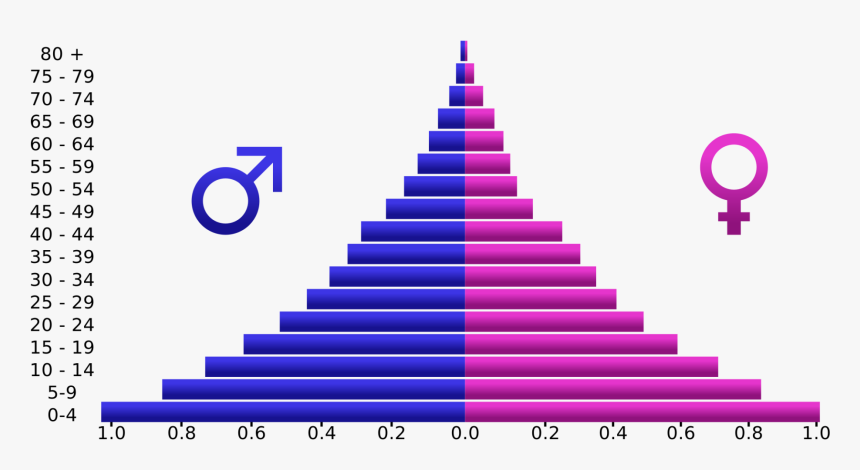 Age Pyramid Of India, HD Png Download