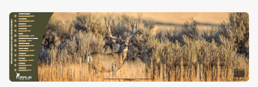 Savanna, HD Png Download