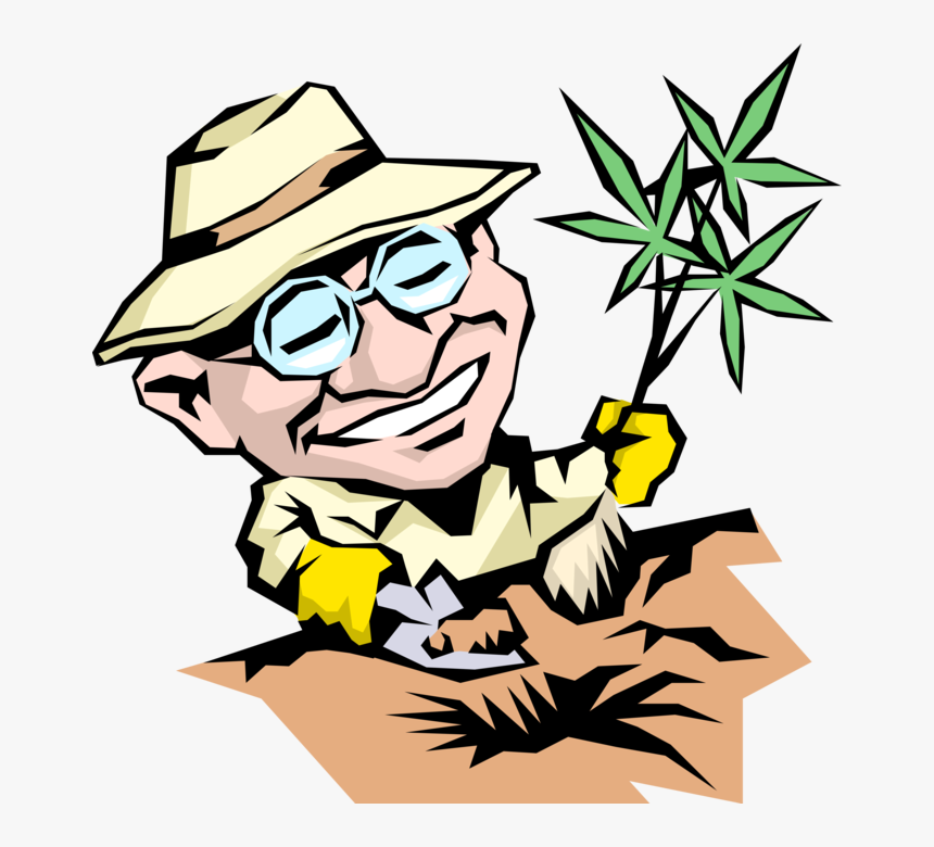 Vector Illustration Of Gardener Plants New Tree - Man Planting Trees Caricature, HD Png Download