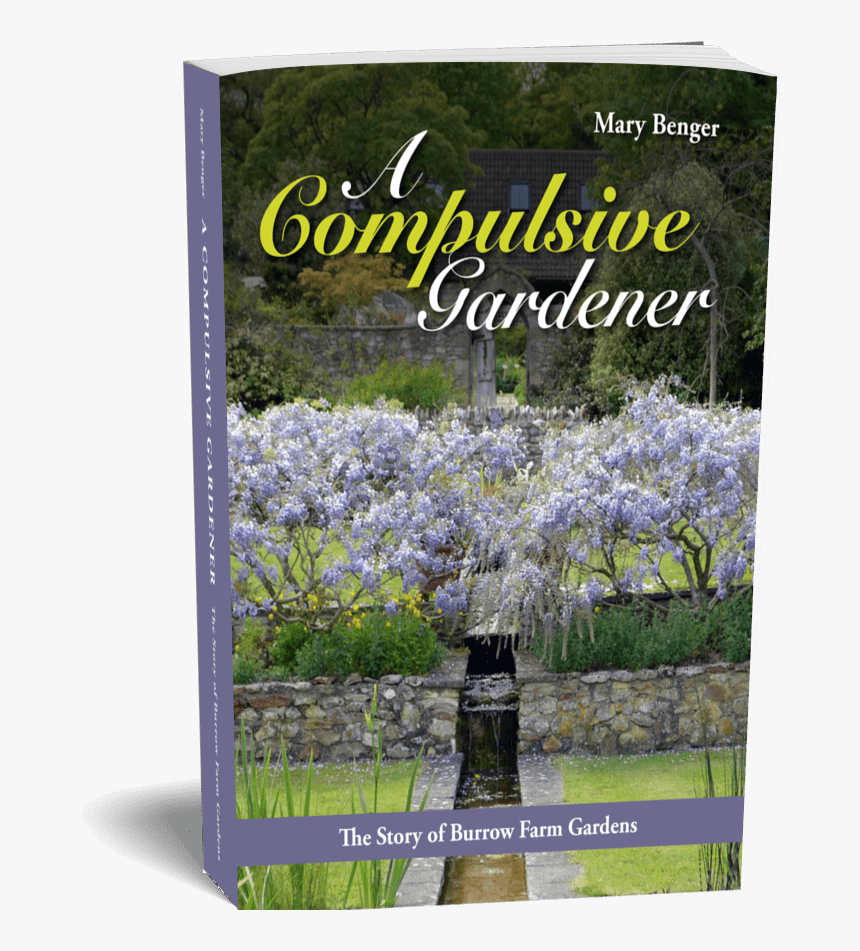 Main-cover - Delphinium, HD Png Download