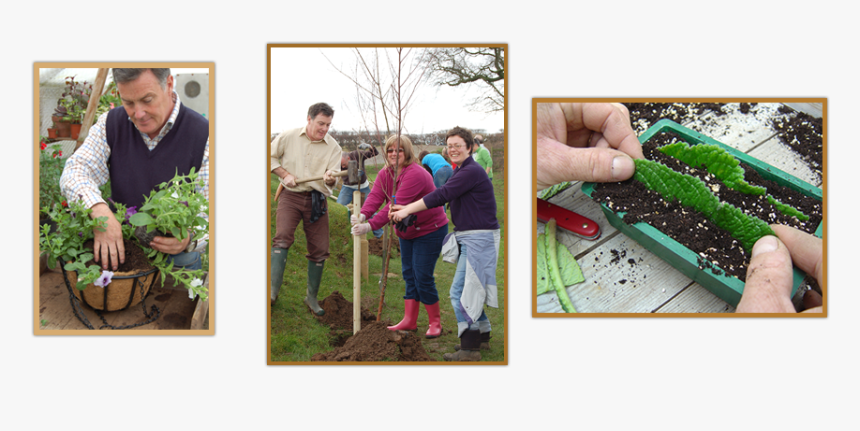 Hero-group - Tree, HD Png Download