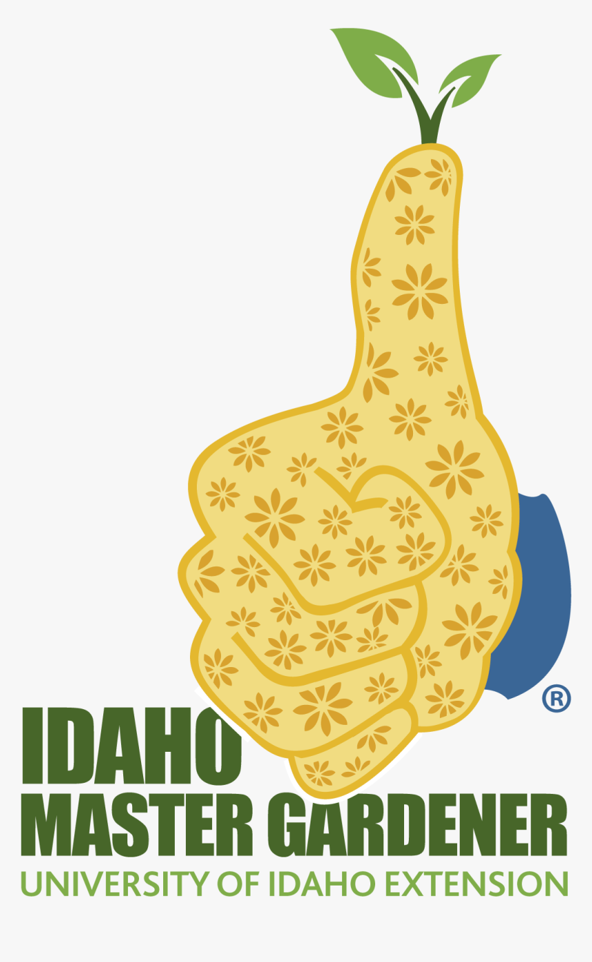 Vitoria Gasteiz, HD Png Download