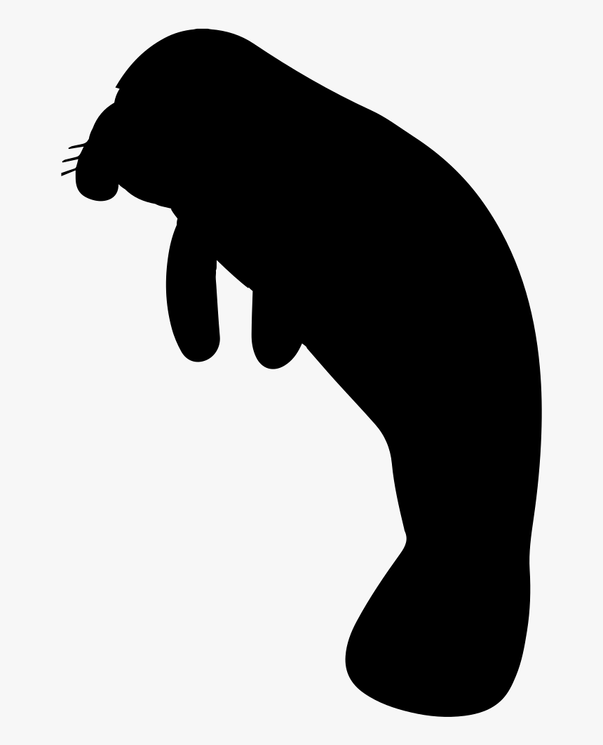 Manatee Mammal Animal Shape - Manatee Clipart Black And White, HD Png Download