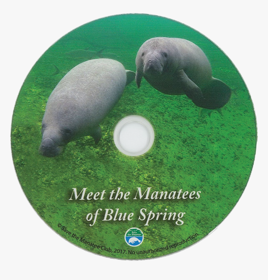 Meet The Manatees Of Blue Spring Dvd - Marine Mammal, HD Png Download