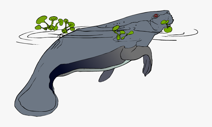 Brown Manatee Clipart The Cliparts - Manatee Word Search, HD Png Download