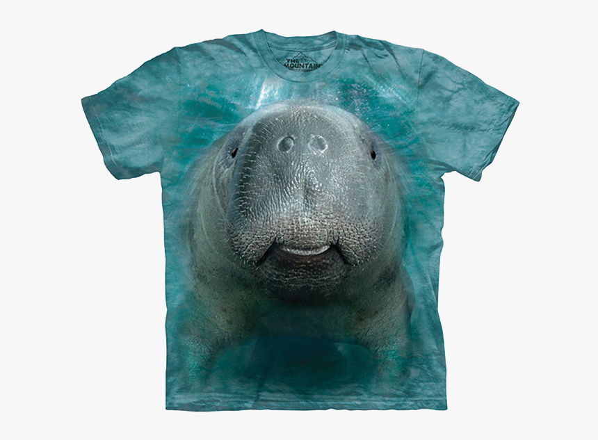 Hammerhead Shark T Shirt, HD Png Download