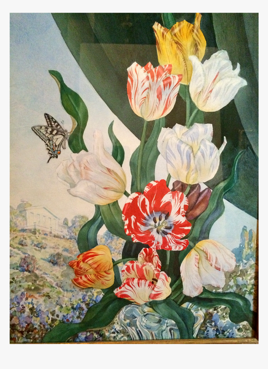 Flax-leaved Tulip, HD Png Download