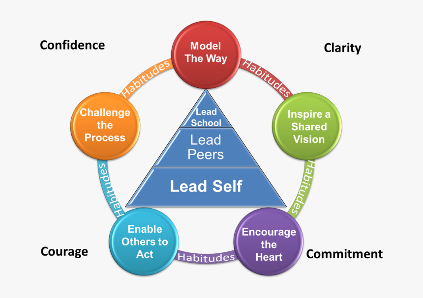 Leadership - Leader Growth Model Moe, HD Png Download