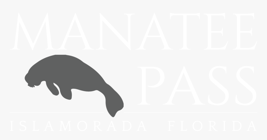 Manatee Pass - Puma, HD Png Download