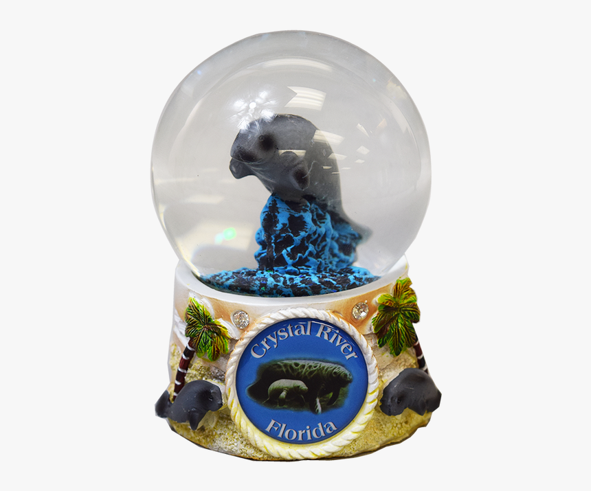 Image - Fish, HD Png Download