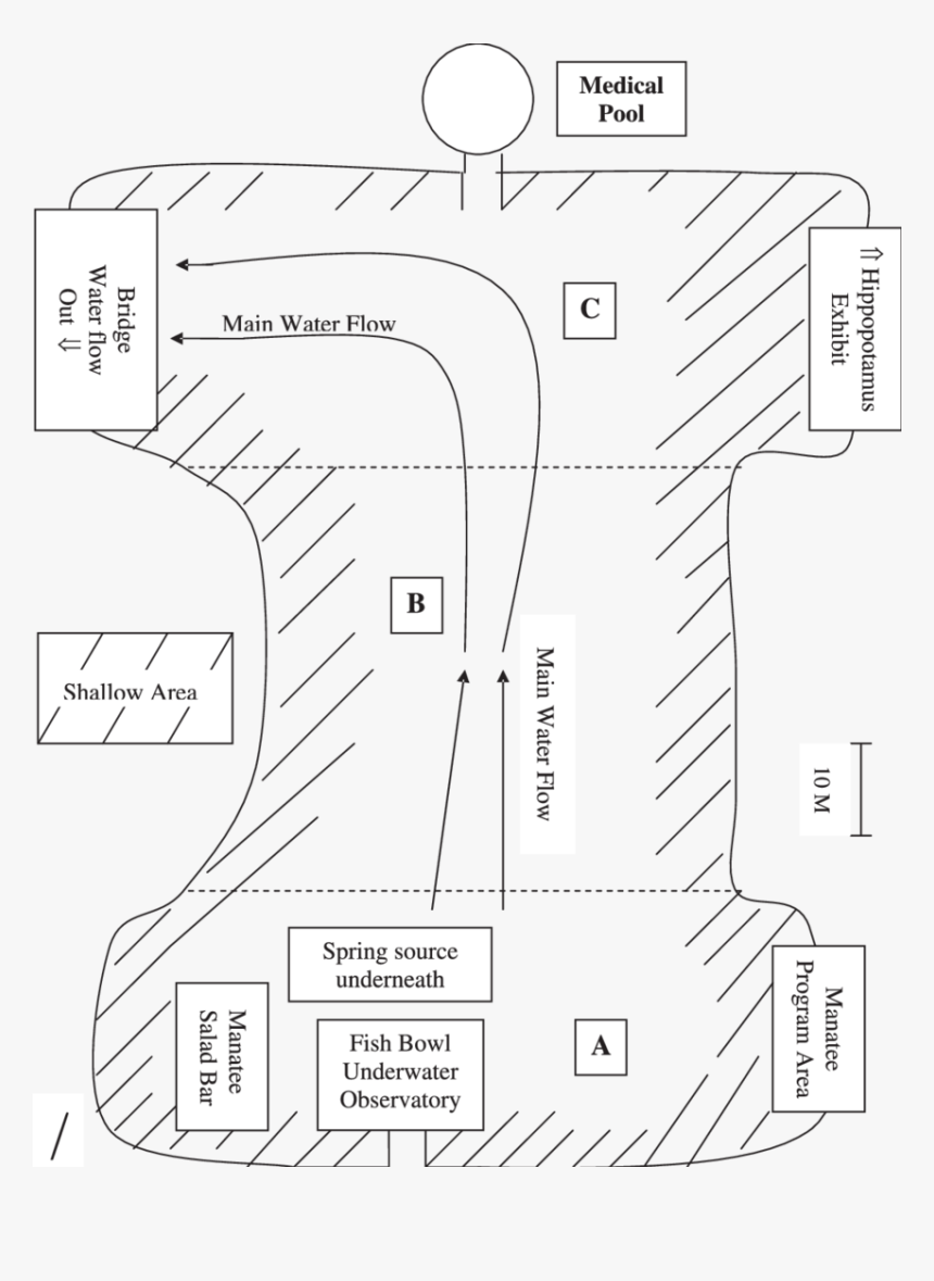 Diagram, HD Png Download