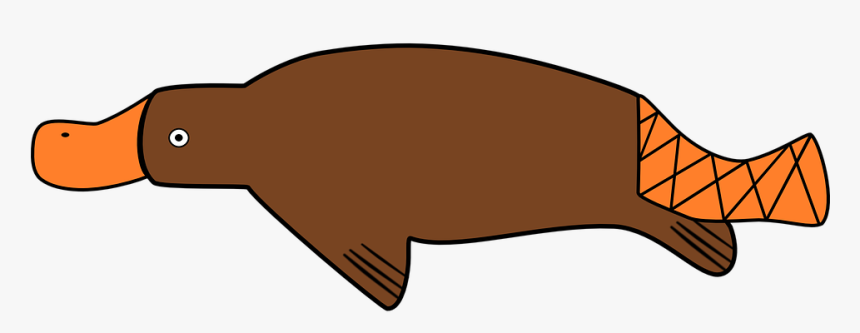 Marine Mammal,clip - Platypus Png, Transparent Png