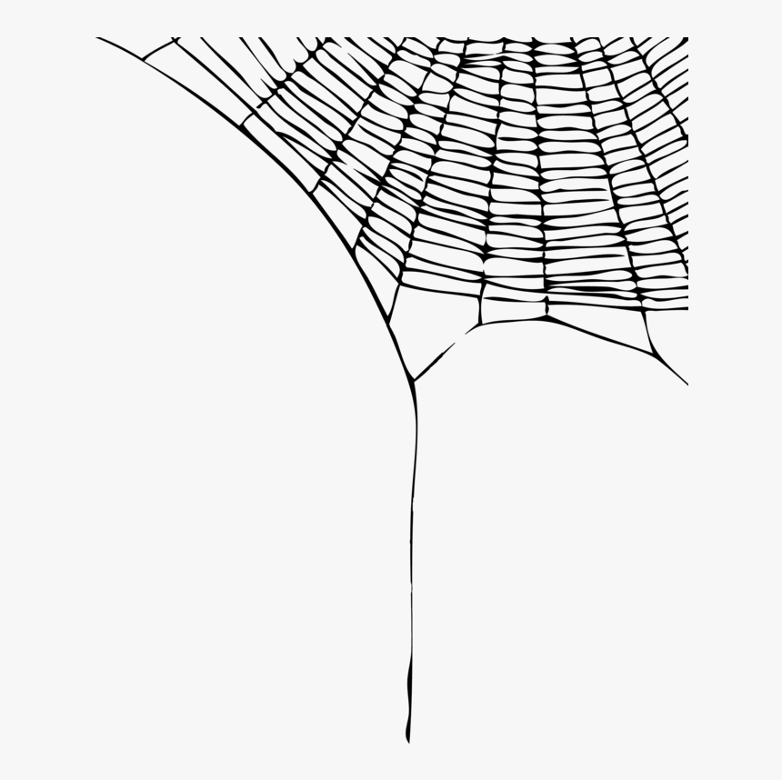 Png Format Images Of Spider Web - Spider Web Transparent Background, Png Download