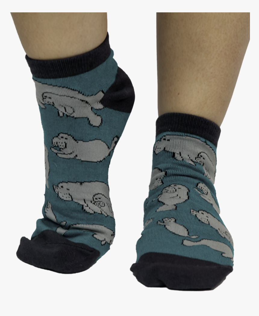 No Wake Zone - Sock, HD Png Download