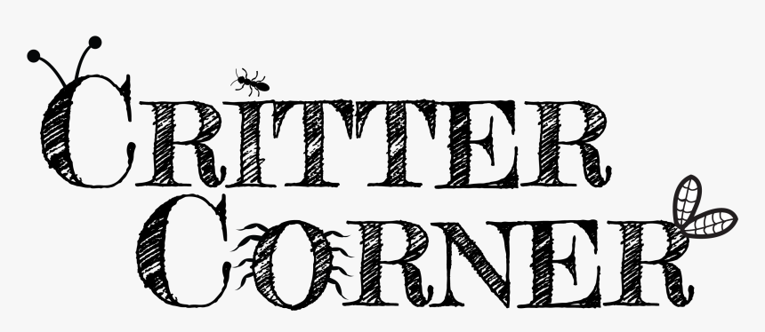 Critter Corner Text - Giias Educare, HD Png Download