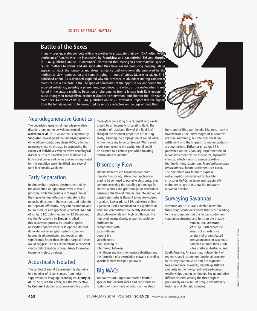 Perspective Grid Png , Png Download - Hollywood Buddha (2003), Transparent Png