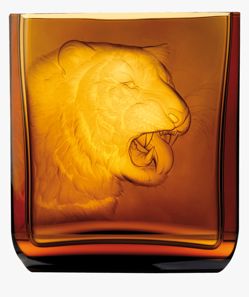 Eye Of The Tiger - Grizzly Bear, HD Png Download