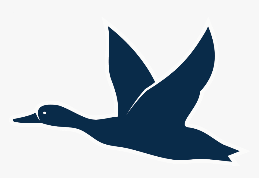 Alaska Duck Hunting - Duck, HD Png Download