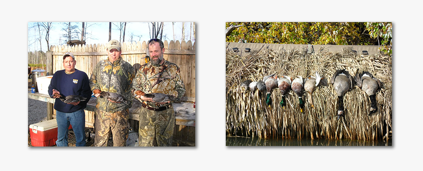 Grass, HD Png Download