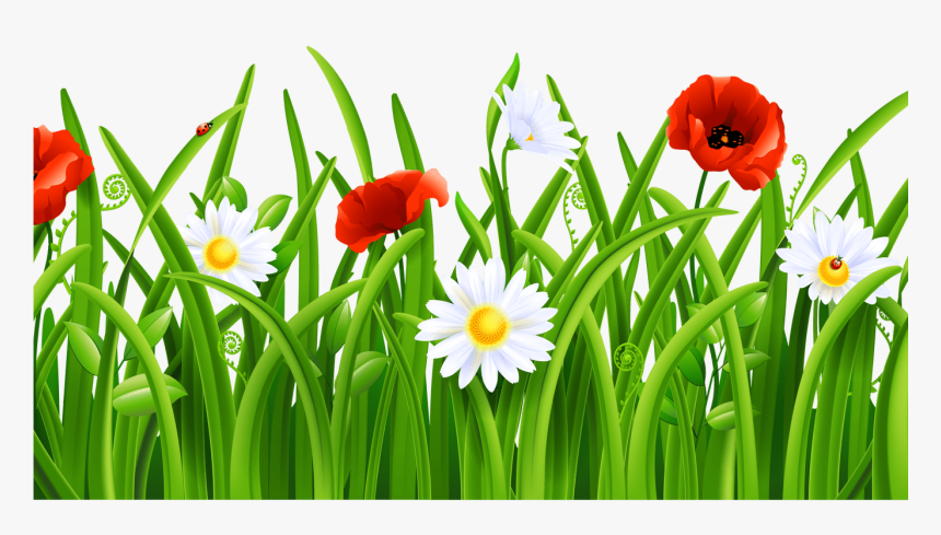 Transparent Grasshopper Clipart - Free Flower And Green Png, Png Download
