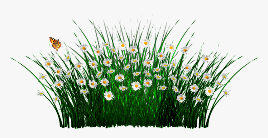 Thank You Sheep Clipart, HD Png Download