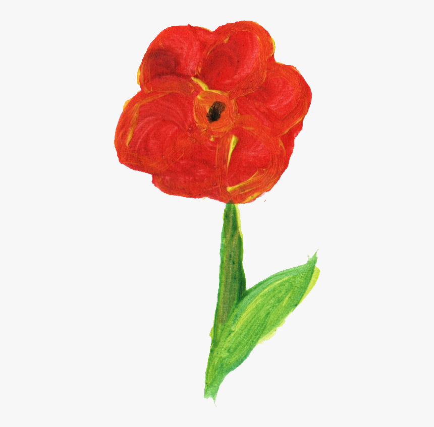 Persian Buttercup, HD Png Download