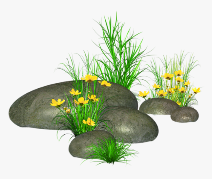 Free Png Stones With Grass And Yellow Flowers Png Images - Grass Stone Png, Transparent Png