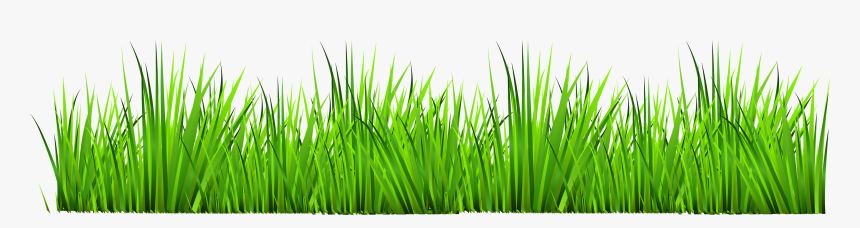 Grass With Flowers Clipart Png - Grass Clipart, Transparent Png