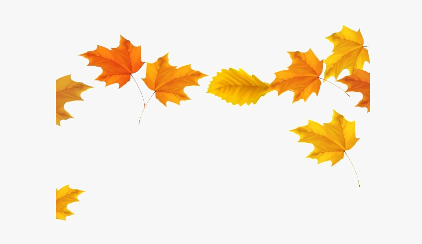 Fall Leaves Png Transparent Image - Fall Leaves Transparent Background, Png Download
