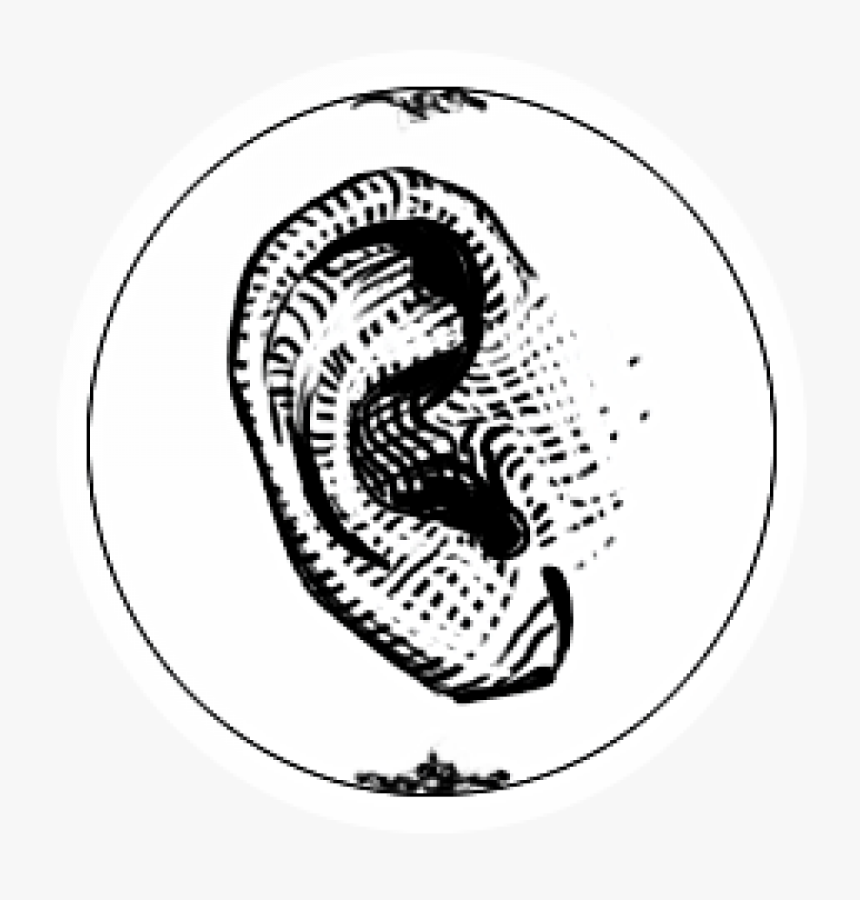 Archivist - Circle - Circle, HD Png Download