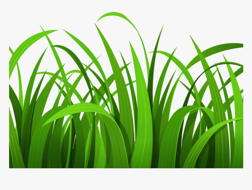 Best Grass Clipart Grass Clipart, HD Png Download , Transparent Png