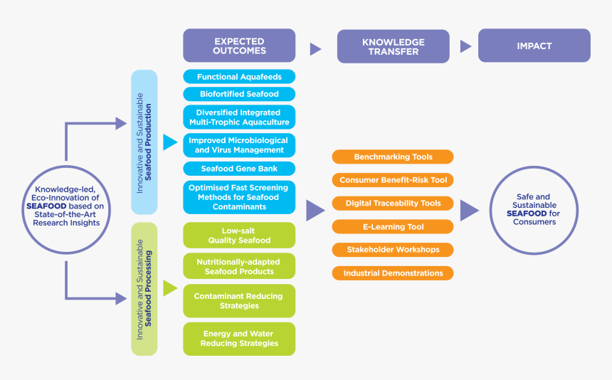 Screenshot, HD Png Download