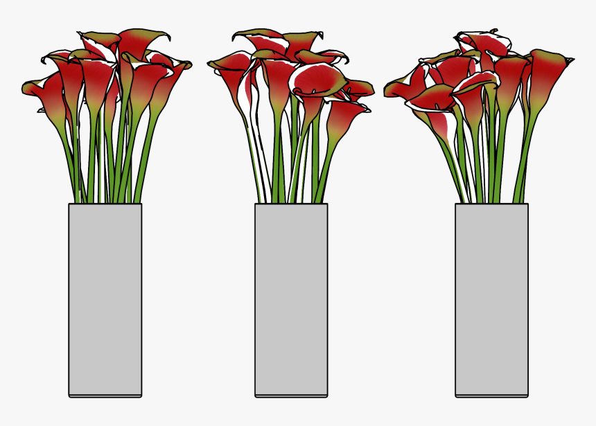 Giant White Arum Lily, HD Png Download