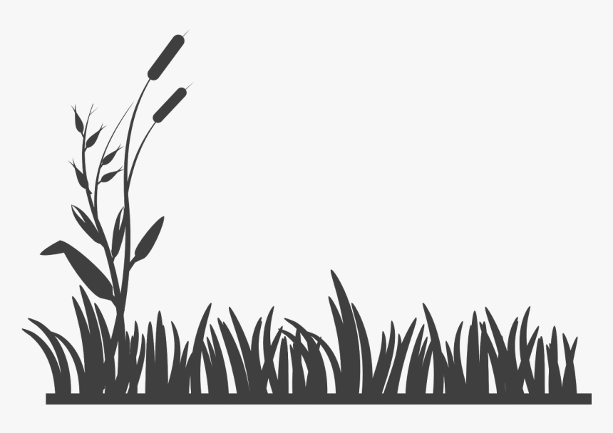 Black And White Grass Png, Transparent Png