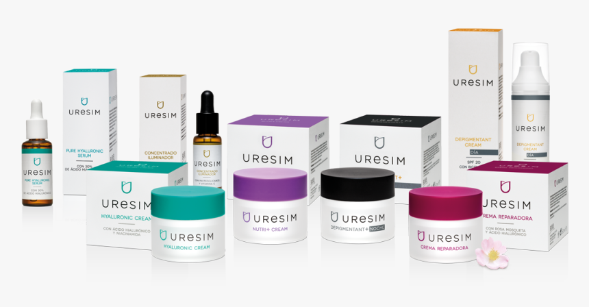 Cosmetics, HD Png Download