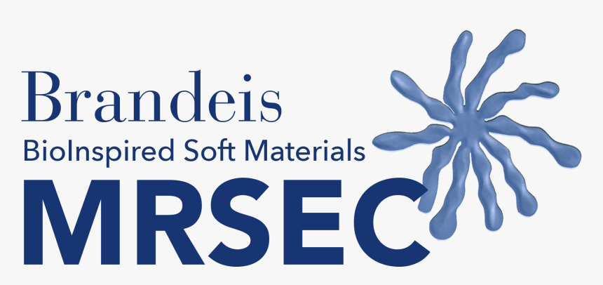 Toulouse, HD Png Download