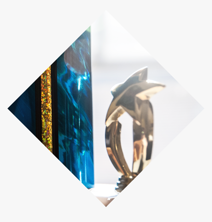 Common Dolphins, HD Png Download