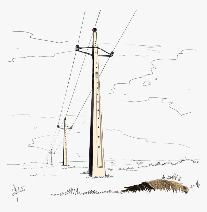 Sketch, HD Png Download