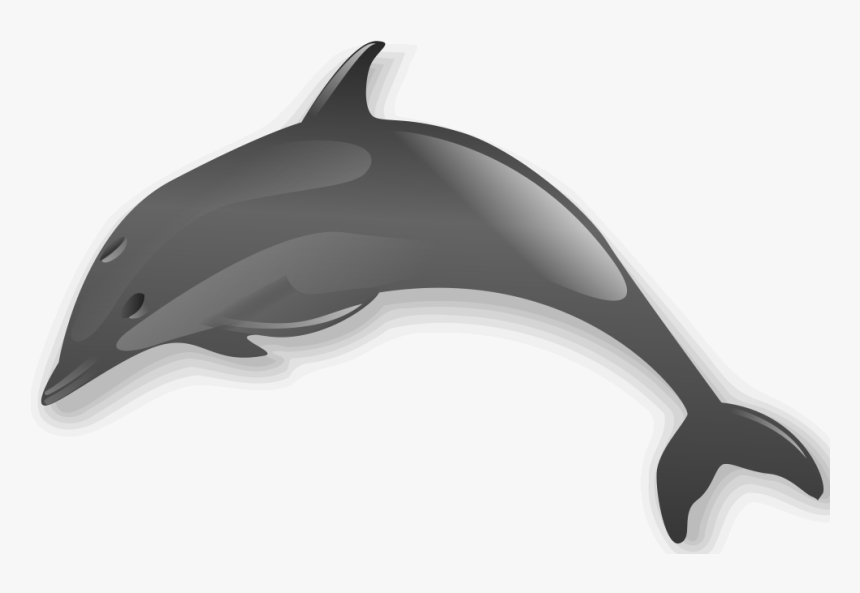 Dolphin 2 - Sea Creatures No Background, HD Png Download