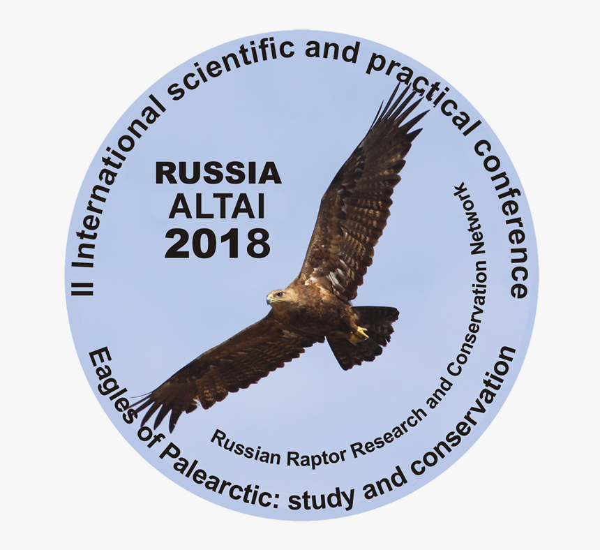 Eagles Of Palearctic - Buzzard, HD Png Download