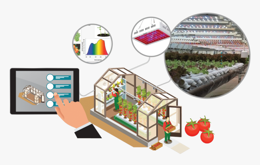 Smart Greenhouse Lighting Inforgaphic - Smart Greenhouse, HD Png Download