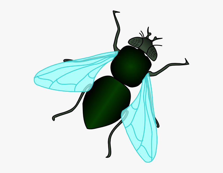 Green House Fly Svg Clip Arts - Fly Clipart, HD Png Download