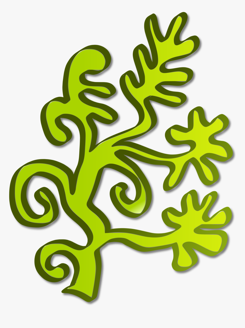 Berry Clipart Strawberry Shortcake - Algae Clipart, HD Png Download