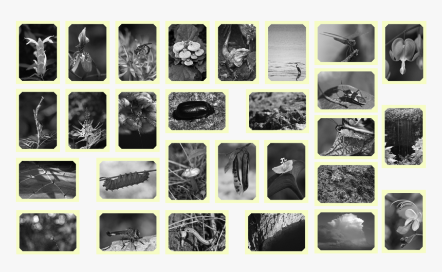 Cards - Igneous Rock, HD Png Download