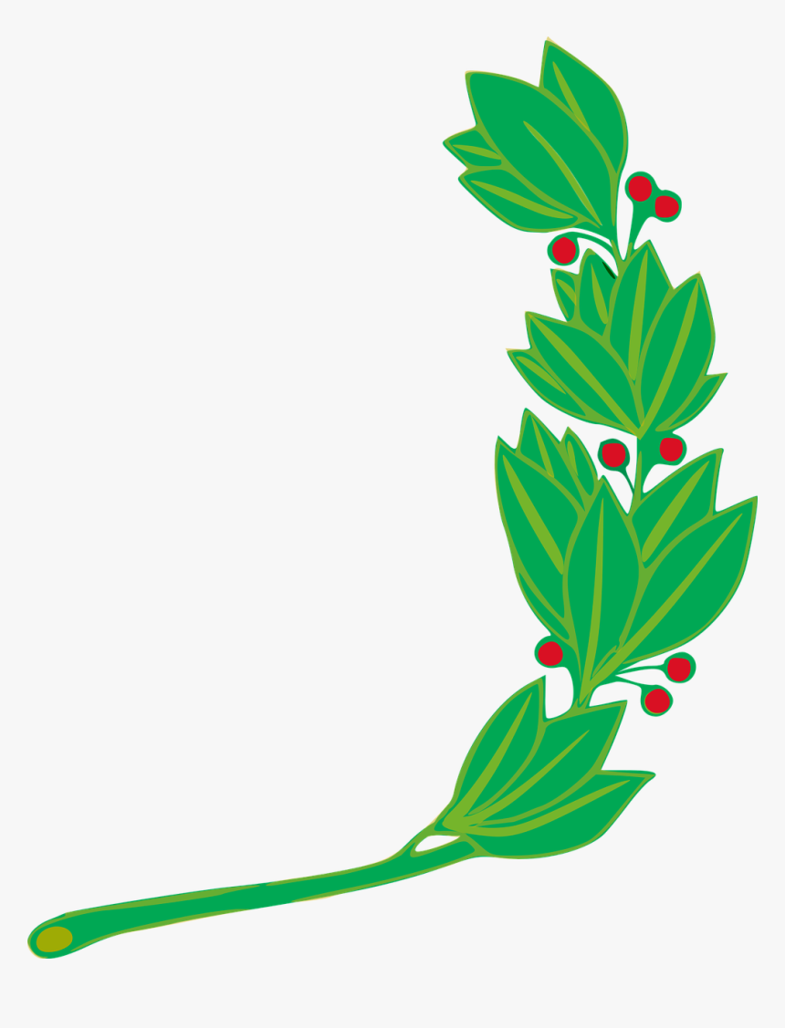 Plant,flora,leaf - Peru Coat Of Arms, HD Png Download