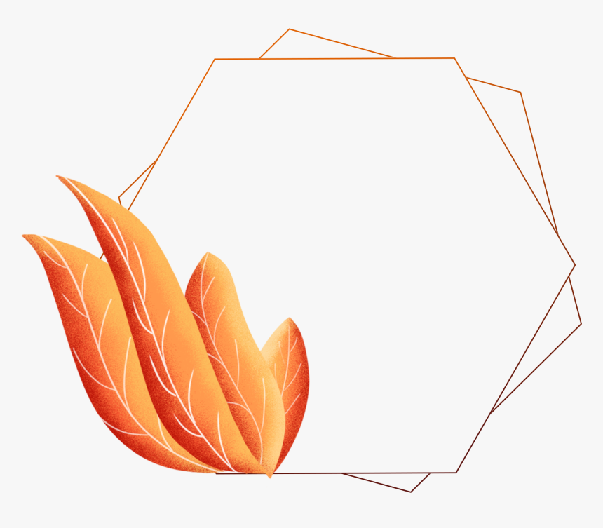 Hand Painted Border Plants Leaves Coral Orange Png - Portable Network Graphics, Transparent Png