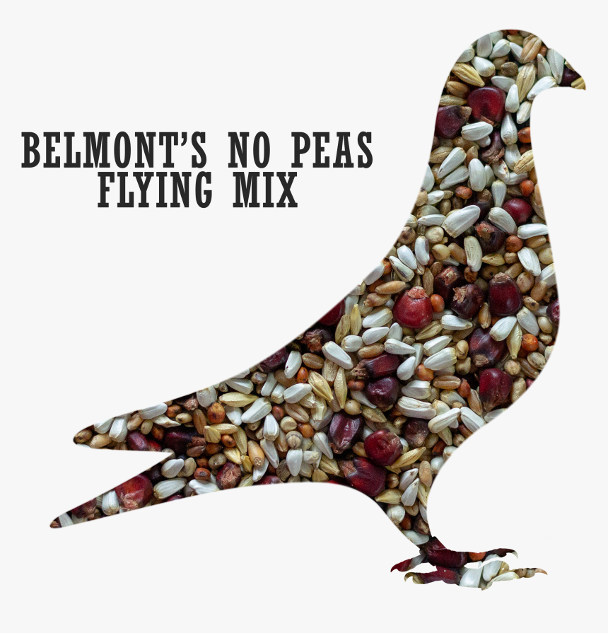 Belmont S No Peas Flying Pigeon Mix 
 Title Belmont - Flyingpigeon, HD Png Download