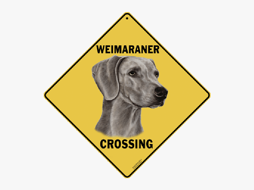 Free Printable Dinosaur Sign, HD Png Download